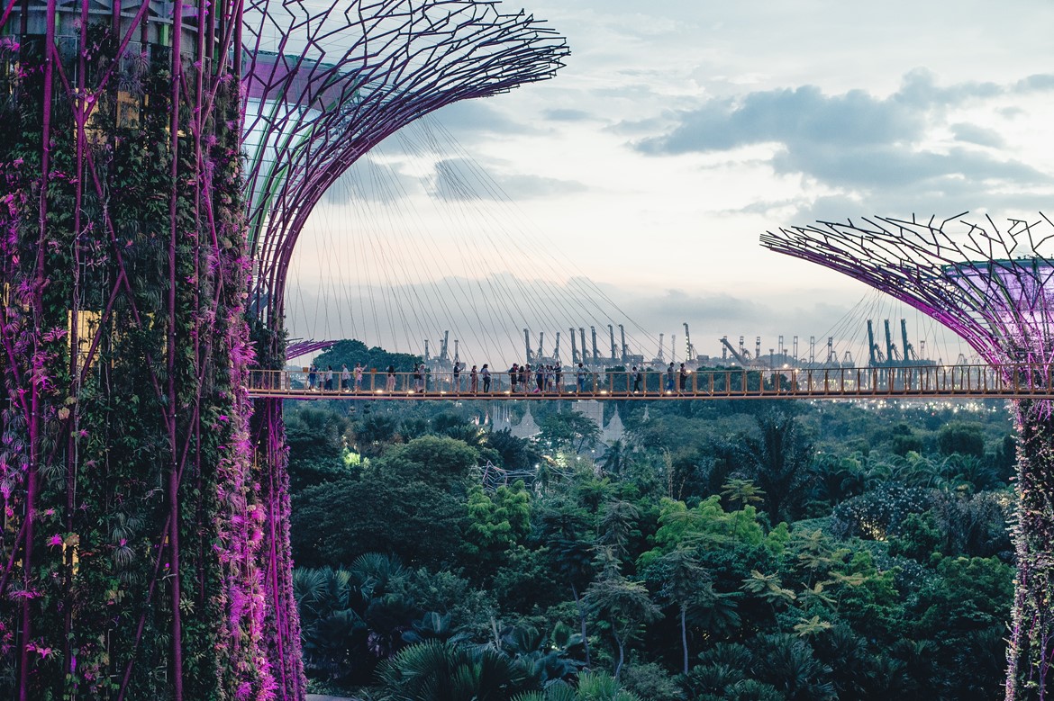 Sustainable Cities and Communities: Lessons from Madagascar, Ecuador, Singapore and the UK