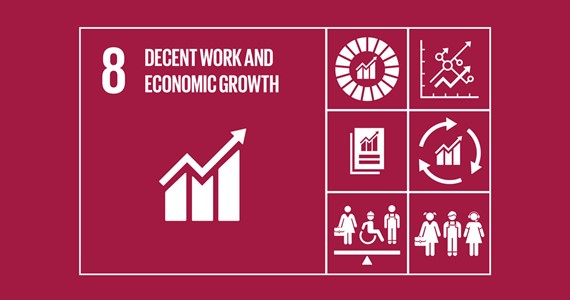 SDG8: Economic growth for sustainable future